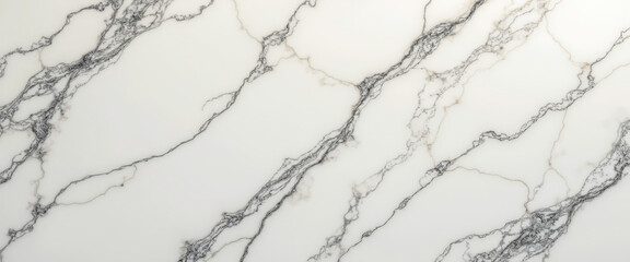 Fototapeta premium White Marble Texture with Black Veins