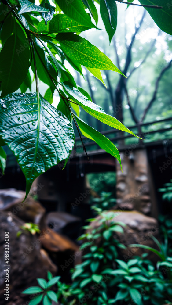 Sticker Lush Green Leaves With Water Drops