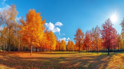 Fototapeta premium Autumn forest landscape. Gold color tree, red orange foliage in fall park. Nature change scene. Yellow wood in scenic scenery. Sun in blue sky. Panorama of a sunny day, wide banner, panoramic view