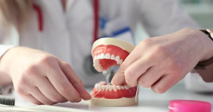 Dentist demonstrates proper flossing technique on dental model