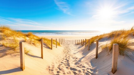 Scenic pathway leads to a serene beach, with soft sand and vibrant sunshine illuminating the clear blue sky and ocean.