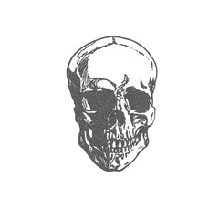 Grainy skull retro photocopy effect, vintage stipple black dots texture, vector human cranium grunge art, Y2K aesthetic