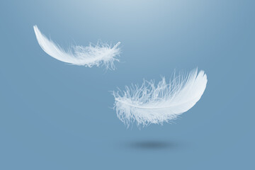 Abstract White Bird Feathers Falling in The Air. Fluffy Downy. Softness of Feathers Floating in...