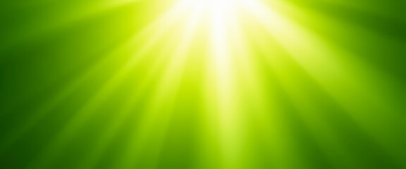 Obraz premium Abstract Green Sunburst Background