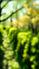 Abstract Green Bokeh Background