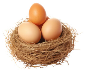 PNG Egg food nest white background.