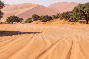Impression of the massive sanddunes that comprise the Sossusvlei of western Namibia