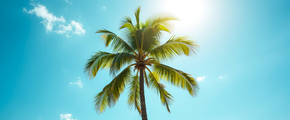 Palm Tree Against Blue Sky