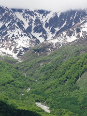 Fototapeta premium Scenery of Japan - Hakuba Mountains, Nagano