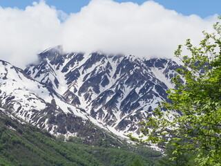 Obraz premium Scenery of Japan - Hakuba Mountains, Nagano
