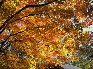 Scenery of Japan - Hakuba Mountain, Nagano