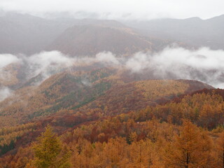 Scenery of Japan - Hakuba, Nagano