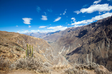 Colca canyon in peru. Colca Canyon