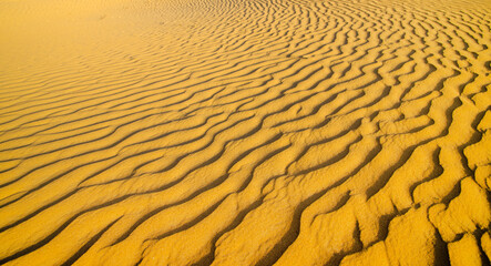 Sand dunes. landscape of golden sand dune with blue sky in desert