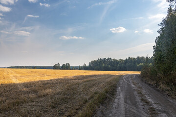 Fototapeta premium A road runs through a field of dry grass