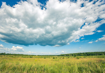 A large cloud in the sky over a field of grass