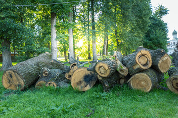 A pile of logs in a grassy field