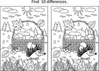 Basket with mushrooms difference game. Hedgehog, rowan, falling leaves. Autumn wonders.
