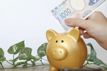 1000円札を豚の貯金箱に入れる