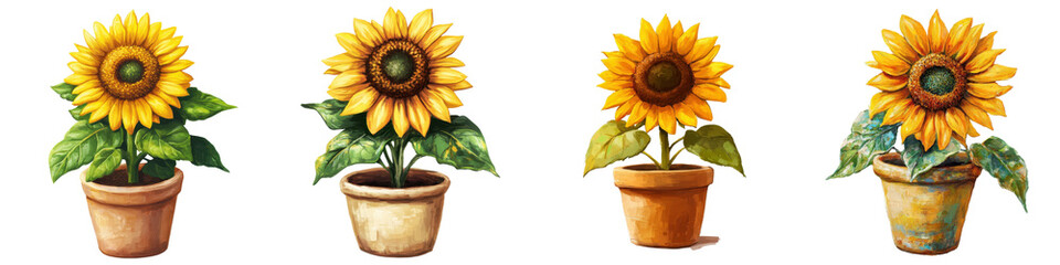 Obraz premium Beautiful sunflowers planted in rustic terracotta pots blooming brightly in a lush garden setting The vibrant yellow petals and green foliage create a cheerful natural and serene scene