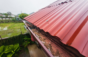 Clogged rain gutter, dirty roof gutter, with wet fallen leaves.