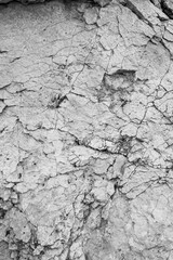 Black and white stone texture. Gray natural rock. Perfect for background.