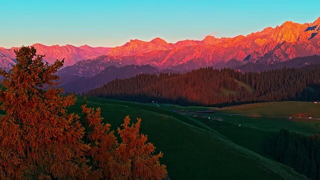 Aerial view of green grassland and forest with mountain nature landscape in Xinjiang, China. Spectacular mountain range scenery at sunset.