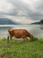 Nepal, Pokhara, phewa lake