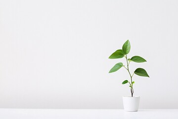 A versatile poster template designed with generous blank space for highlighting growth strategies, educational content, or workshop advertisements.