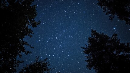 Stars twinkling in a night sky backdrop