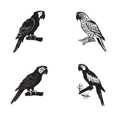 Fototapeta premium Black and white vector silhouettes set of parrot