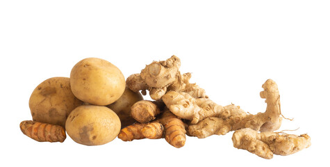 tubers on white background isolated. spices and traditional medicines for health