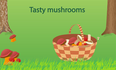 Basket with mushrooms at the edge of the forest. Inscription Tasty mushrooms. Vector illustration. 