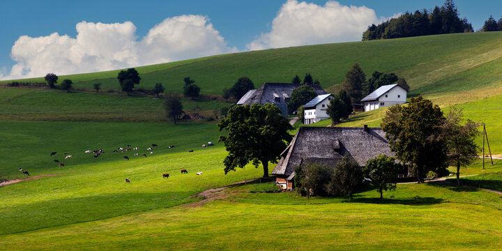 Farm in the evening light, Breitnau in the Black Forest, Baden-W&uuml;rttemberg, Germany,