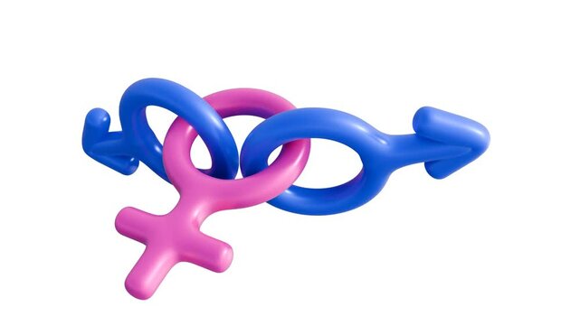 a 3d animation of pink female symbol and a blue male symbol. The symbols are linked together, which represent polyandry.