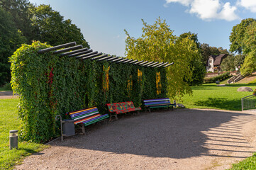 Colorful benches beside a green wall in a tranquil park setting during daylight
