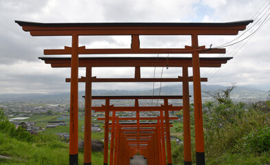 View through the Torii Gates