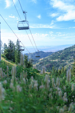 Summertime Chairlift Above Wildflowers Mountains Idaho