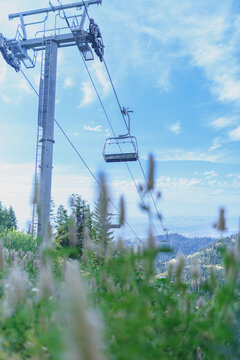 Summertime Wildflowers Mountain Chairlift Ski Resort Idaho
