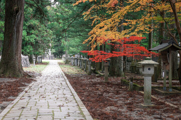 Okuno-in u Okunoin Cemetery details in Autumn