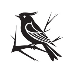 Cute black and white bird silhouettes, vector elements for design, birds icon set, animal vector.