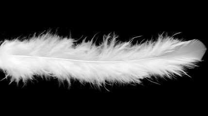 Obraz premium White feather boa isolated on black background, party isolated png like style.. Isolated on black background png like style. Created using Generative AI Technology 