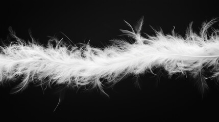 Obraz premium White feather boa isolated on black background, party isolated png like style.. Isolated on black background png like style. Created using Generative AI Technology 