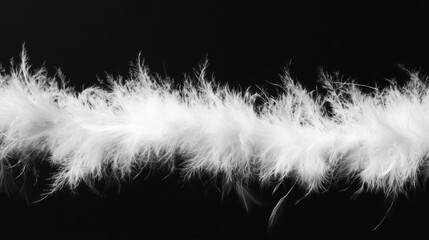 Obraz premium White feather boa isolated on black background, party isolated png like style.. Isolated on black background png like style. Created using Generative AI Technology 