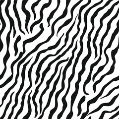 Zebra print or skin texture vector. Abstract zebra stripes pattern on white background.
