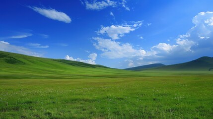 Obraz premium A glorious display of beautiful scenery with natural beauty and expansive grasslands. The grasslands are a vivid green, stretching as far as the eye can see. There are wildflowers dotting the landscap