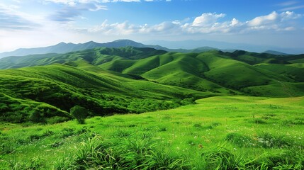Obraz premium A glorious display of beautiful scenery with natural beauty and expansive grasslands. The grasslands are a vivid green, stretching as far as the eye can see. There are wildflowers dotting the landscap
