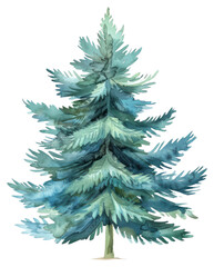 Obraz premium PNG Elegant watercolor evergreen tree illustration