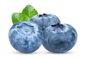 Fresh blueberry  isolated on transparent png
