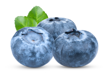 Fresh blueberry  isolated on transparent png
